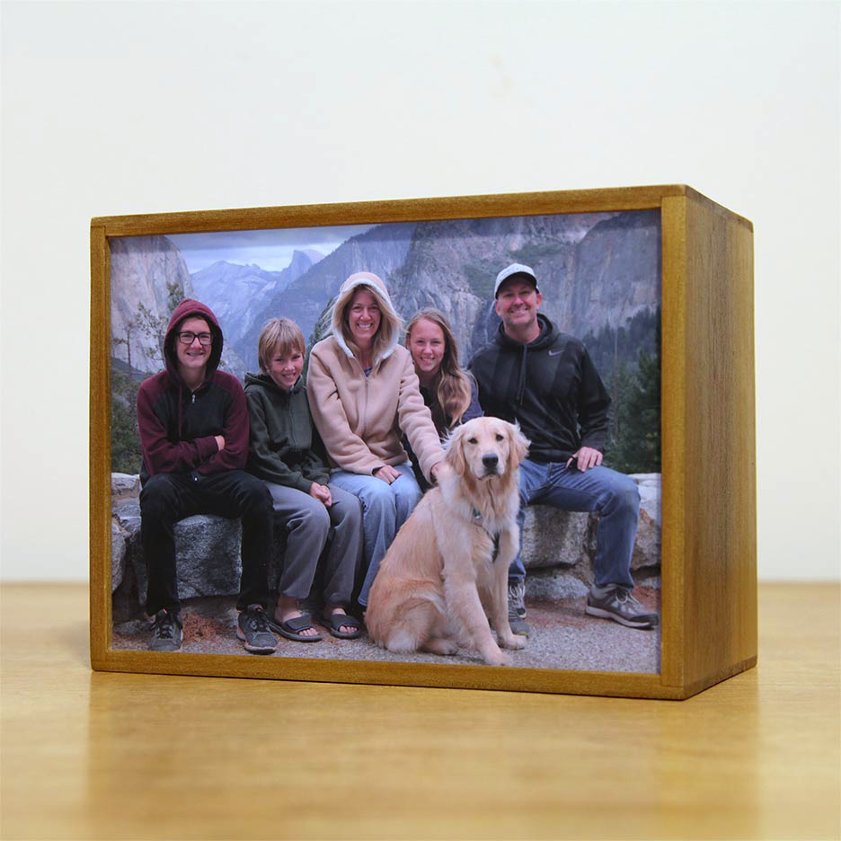 Image of a custom light box of a family portrait in Yosemite